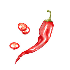 Hand-drawn illustration of a whole red chili pepper accompanied by several circular slices