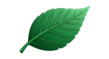 Obraz premium A vibrant green leaf with intricate veins, showcasing the beauty of nature and botanical details in a simple and elegant composition.