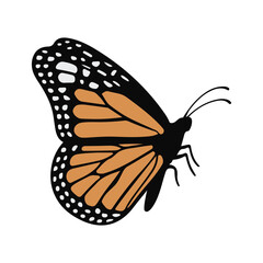 Butterfly Silhouette Vector Illustration Design