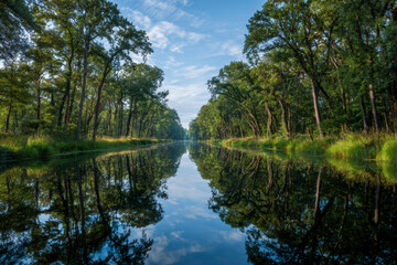 Obraz premium Mirror-like river reflects lush green trees and cloudy blue sky, creating a serene and symmetrical landscape.