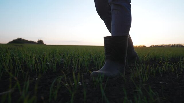 Walking in field with boot and jean leg, farmer step on dark soil among green seedling and grass at sunset near distant horizon, silhouette of lower body and footwear in rural landscape and mud