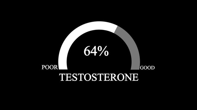 Testosterone level metering. Testosterone hormone speedometer, indicators. Testosterone Level Meter, measuring scale. Hormone Testosterone speedometer indicator, whit black background ,4k video.