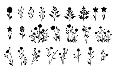 
hand drawn curly grass and flowers Set white isolated background. Decorative floral picture. Botanical illustration. 
