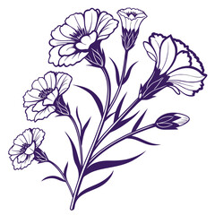 bouquet of carnations purple and white