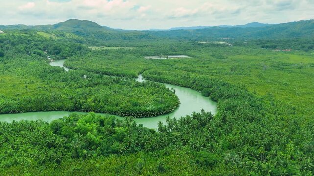 Aerial of Loboc River winding through green tropical forests and palm trees, with distant hills, Bohol, Philippines.