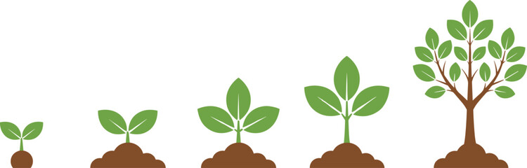Fototapeta premium Flat vector illustration of plant life cycle stages from small seedling to mature tree, eco friendly concept, agriculture, environment, and sustainability