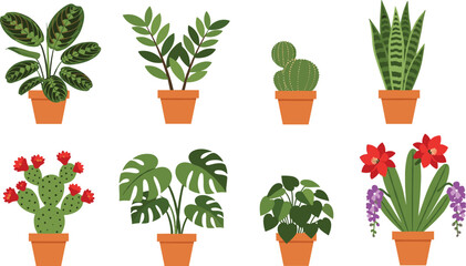 Flat vector set of potted indoor plants, flowering cacti, and tropical greenery. Ideal for botanical design, nature art, and home decor.