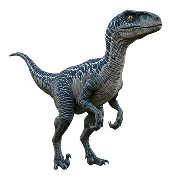 Majestic velociraptor dinosaur stance ready for action prehistoric reptile creature transparent background