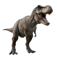 Fototapeta premium Fierce tyrannosaurus rex dinosaur roaring with sharp teeth and powerful stance isolated on . transparent background