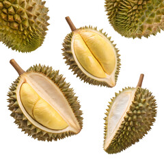 Fototapeta premium Fresh durian fruit cut in half isolated on transparent background