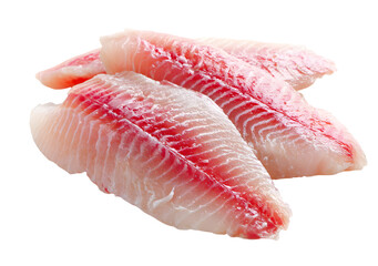 Fresh tilapia fillets raw ready for cooking healthy protein isolated on white background