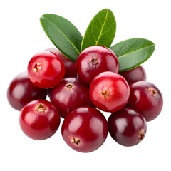 Obraz premium Pile of fresh red cranberries with green leaves isolated on transparent background