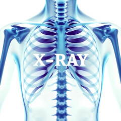 Photo of human chest X-ray, isolated on transparent background