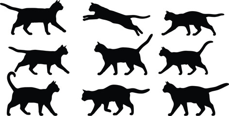 Cat silhouette set with walking, running, jumping, standing, and crouching poses, domestic pet animal vector illustration collection.