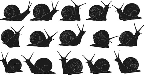 Snail silhouette vector collection showing different poses and shell designs, detailed black isolated gastropod illustrations for nature, biology, and education. © Zahid Creatives