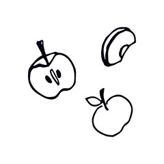 Hand-drawn whimsical doodle vector of apple in three styles—slice, half and whole fruit. Playful black line sketch, perfect for food art, stationery, scrapbooking, education and healthy lifestyle desi