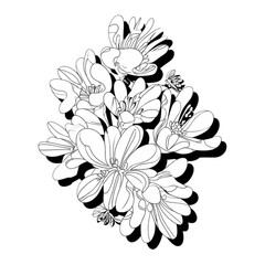 Obraz premium abstract floral background