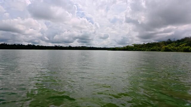 Flora and fauna of the Limococha lagoon in Ecuador