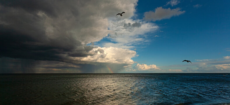 Seagulls flying over ocean with dramatic clouds and rainbow
