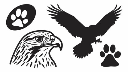 Obraz premium Illustration showing an eagle head, flying eagle silhouette and two paw prints in black and white
