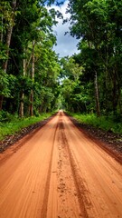 Obraz premium Dirt road through lush green forest