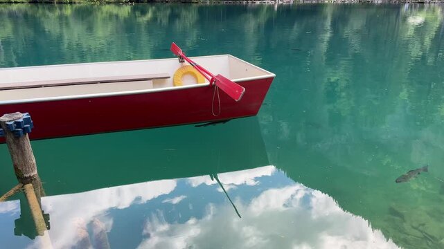 Crystal-clear Blausee lake in Switzerland, where the water is so transparent you can see fish swimming below. Pristine alpine nature, peaceful atmosphere, and stunning natural beauty. Kandergrund 