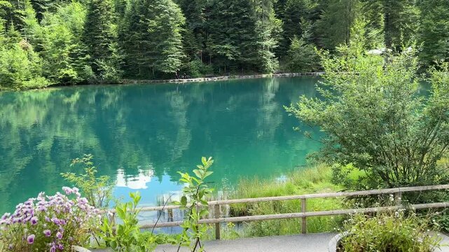Crystal-clear Blausee lake in Switzerland, where the water is so transparent you can see fish swimming below. Pristine alpine nature, peaceful atmosphere, and stunning natural beauty. Kandergrund 