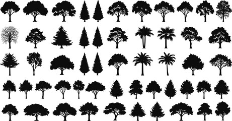 Tree silhouette vector collection, forest illustration set, nature graphic design, landscape elements, black woodland icons for projects