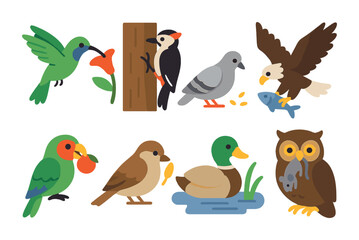 Obraz premium Birds' Diverse Diets. Flat vector mini-illustrations birds feeding habits in colors children's illustrations: