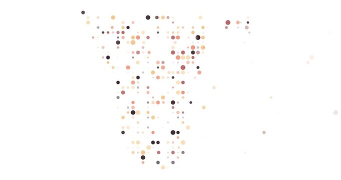 Namibia country outline in flying points