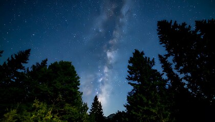 Milky way arches over a dark forest at night.