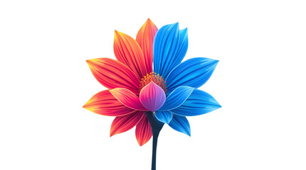 Fototapeta premium colorful flower isolated on white background