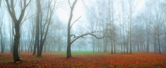 Autumn landscape, panoramic view of foggy autumn park in November fog, mysterious autumn landscape with Halloween atmosphere