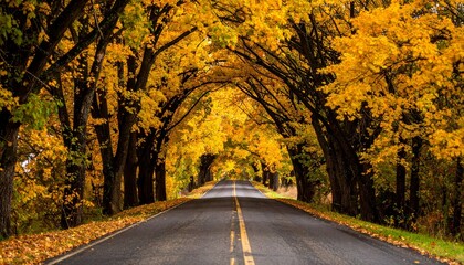 Obraz premium Autumnal Roadway: Golden Canopy of Trees Over Asphalt Path