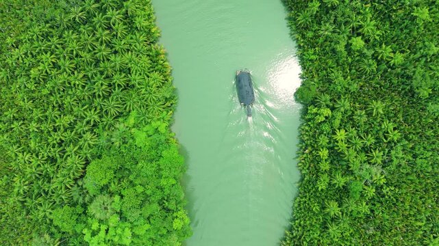 Aerial view of a boat navigating a green river, bordered by forest and palm trees in the Amazon, Brazil.