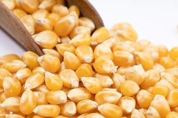 Close up of Corn seeds for popcorn isolated on white background
