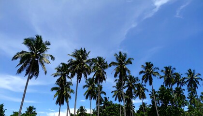 Palm trees against a vibrant blue sky.