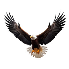 Obraz premium A majestic bald eagle in flight, wings spread wide, captured in a studio shot isolated on a transparent background, showcasing its powerful presence