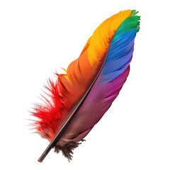 Colorful Feather Up-Close Against Black Background.