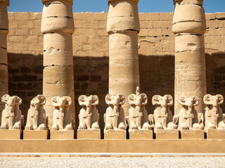 The entrance of Karnak Temple, featuring rows of ram-headed sphinx statues lining the Avenue of Sphinxes, leading to the ancient temple complex