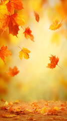 Obraz premium Autumn leaves falling gently in warm sunlight for seasonal fall.