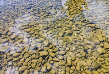 Collection of International Gardens &ndash; Landscaped Gardens from Different Countries in One Place