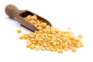 Corn seeds for popcorn isolated on white background