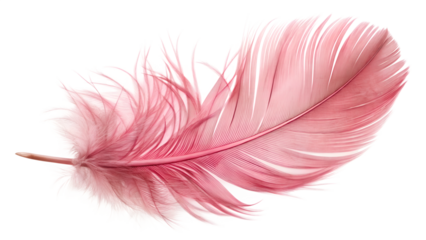 A single delicate pink feather isolated on transparent background, highlighting its soft texture and gentle, airy appearance