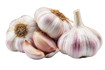 Close-up of three garlic bulbs and two cloves, vibrant purple veins visible