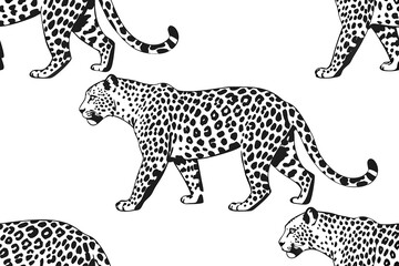 Seamless leopard pattern isolated on white background in black and white