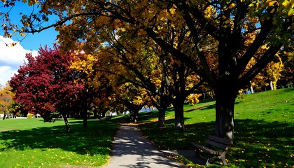 Naklejka premium Autumnal park scene with colorful trees lining a path.
