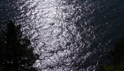 High-angle view of sparkling water reflecting sunlight, with dark silhouettes of trees along the shore.