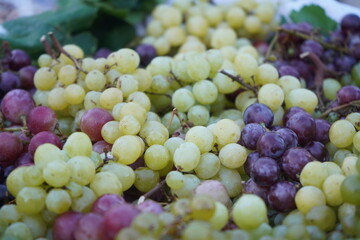 A vibrant close-up of fresh, ripe grapes in shades of green and purple, grown in Crete, Greece. Perfect for food, healthy eating, and Mediterranean harvest concepts.

