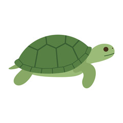 Obraz premium Illustration of a green turtle, a cute and simple design for childrens books, educational materials, or naturethemed projects